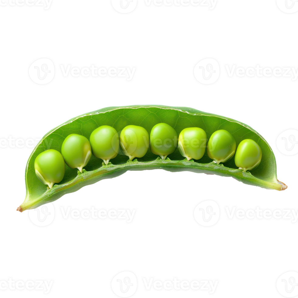 Piece of Peas isolate on transparency background png