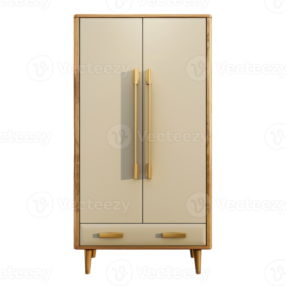 Tall Cabinet front view full length isolate on transparency background png