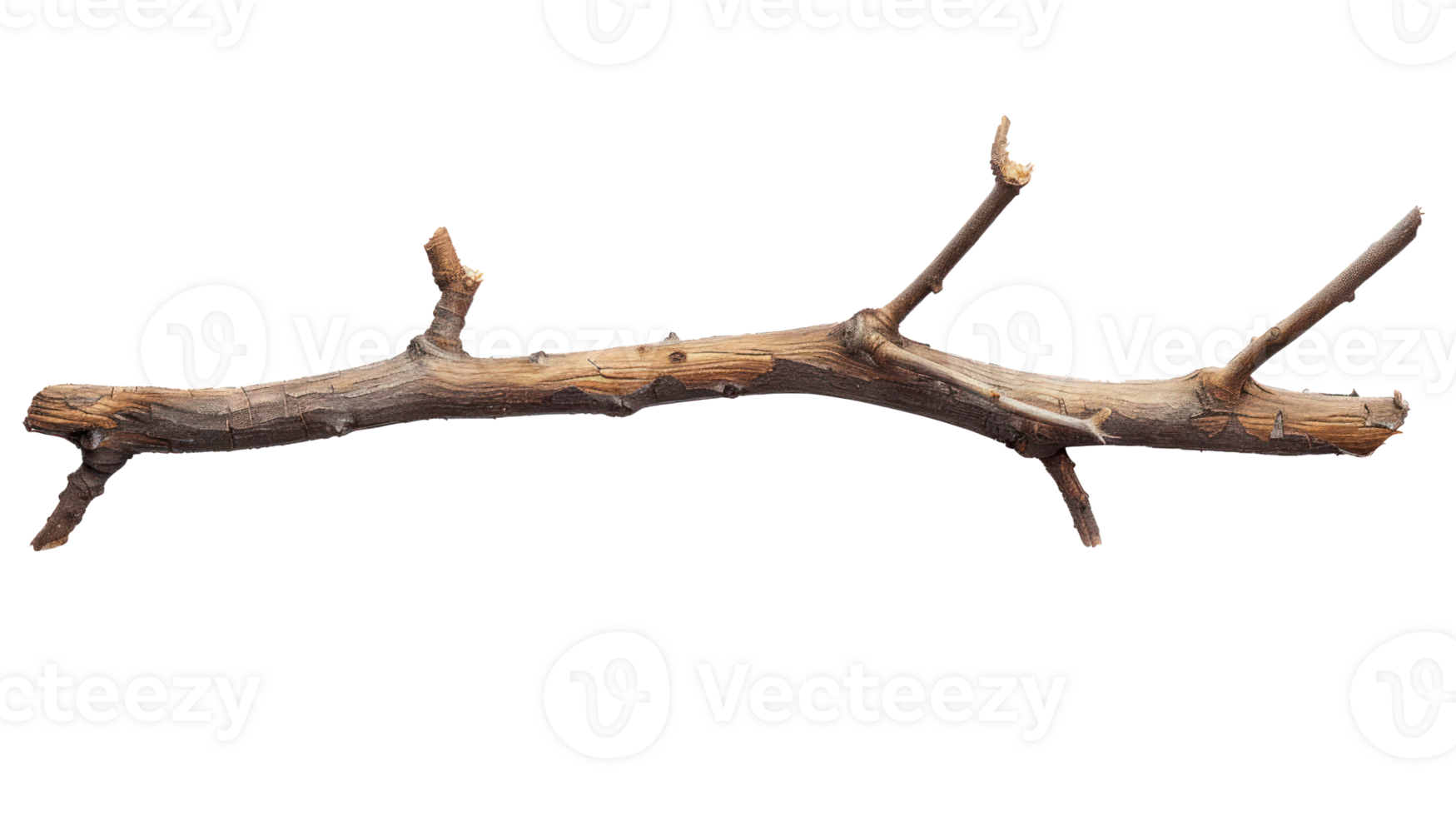 long wooden stick branche isolate on transparency background png