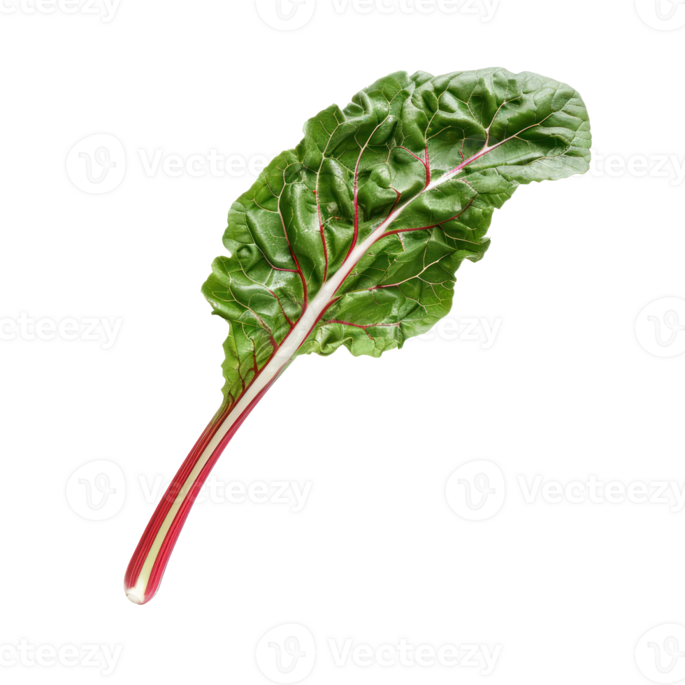 Falling Chard isolate on transparency background png