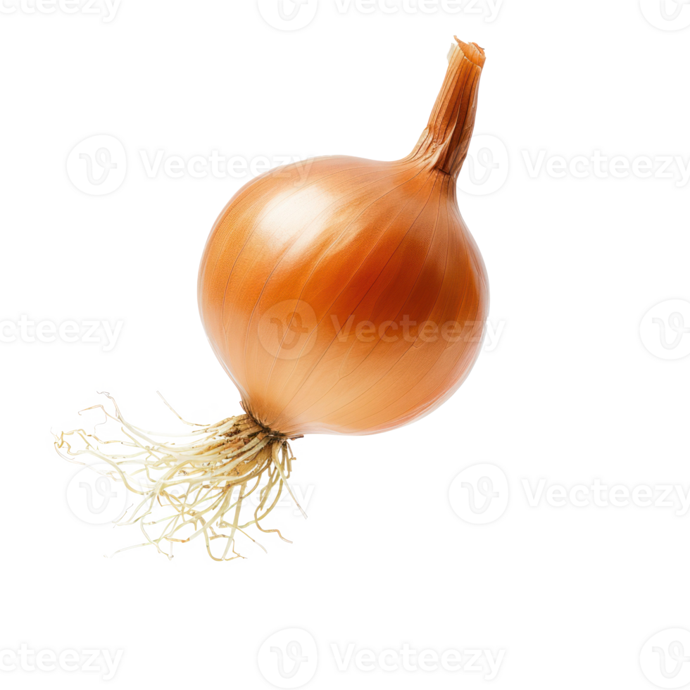 Falling Onion isolate on transparency background png