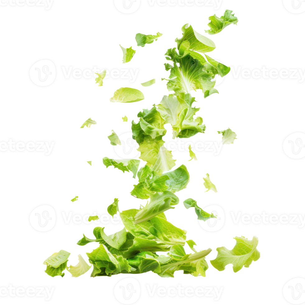 Falling Butter Lettuce isolate on transparency background png