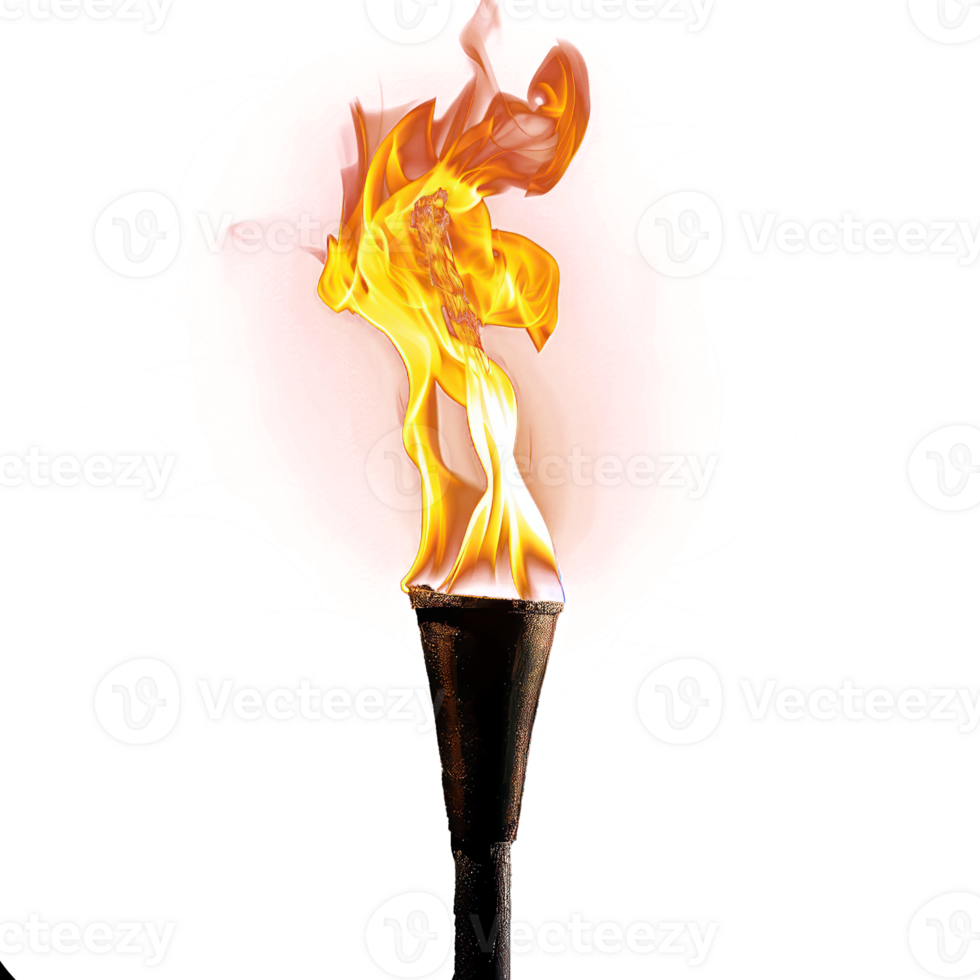 Burning torch on transparency background png