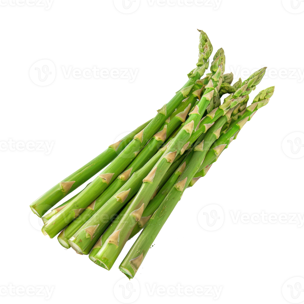 Asparagus isolate on white background png