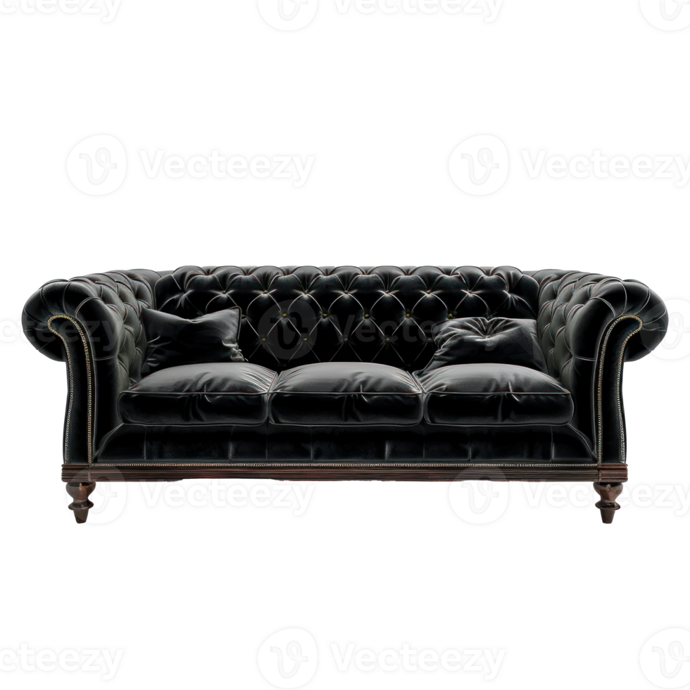 Tuxedo Sofa front view full length isolate on transparency background png