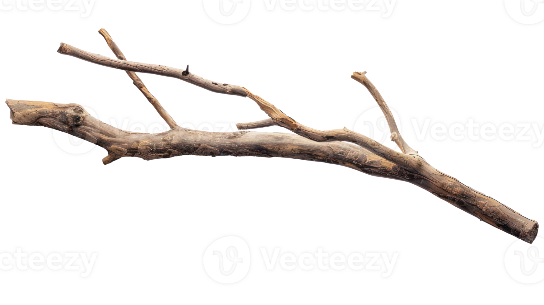 long wooden stick branche isolate on transparency background png