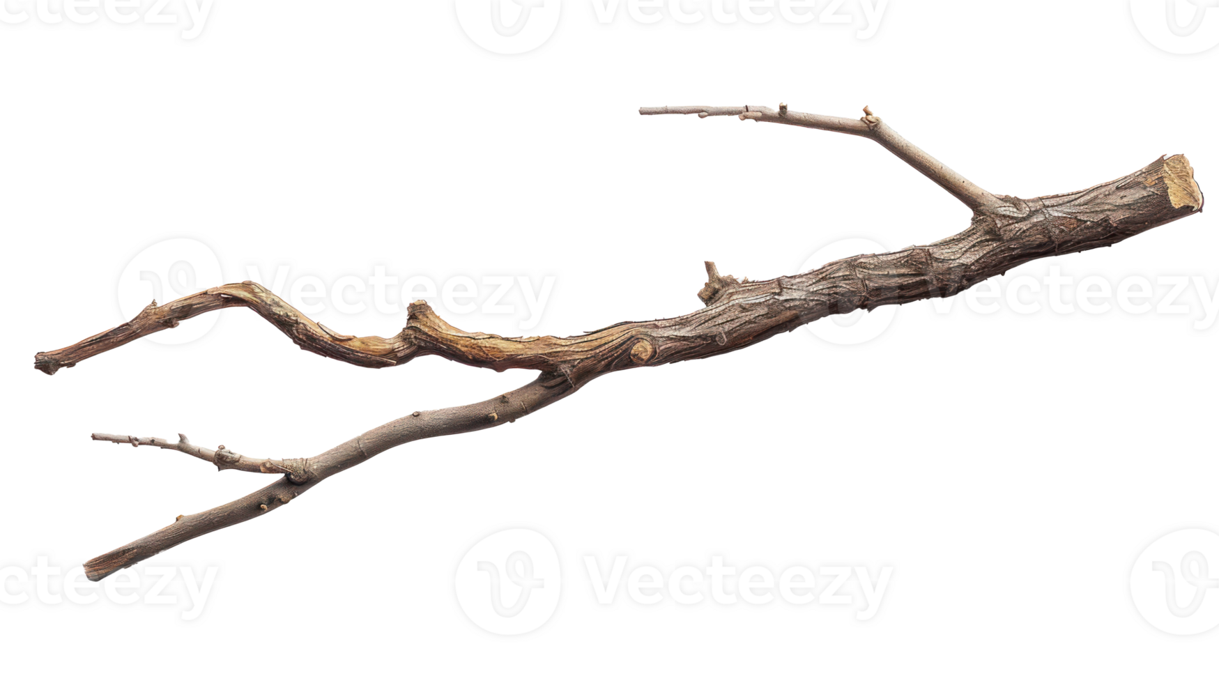 wooden stick branche isolate on transparency background png
