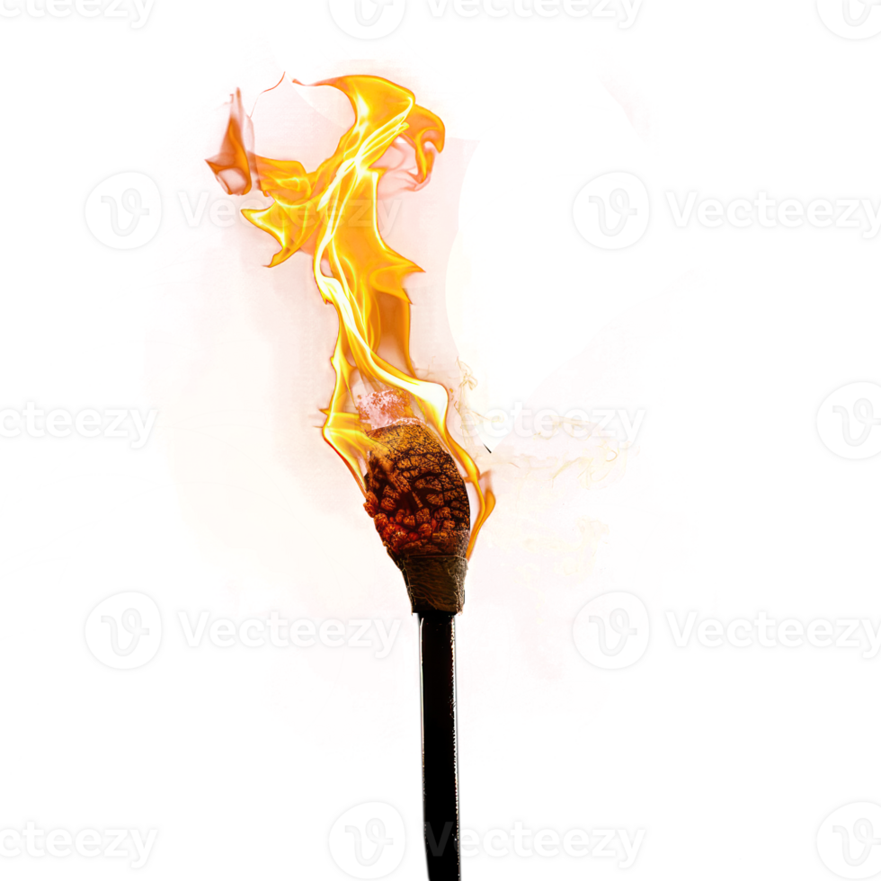 Burning torch on transparency background png