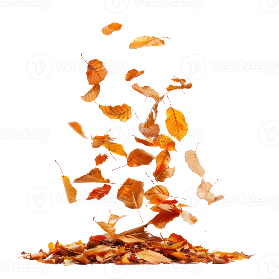 Autumn leaves fall on a pile isolate on transparency background png