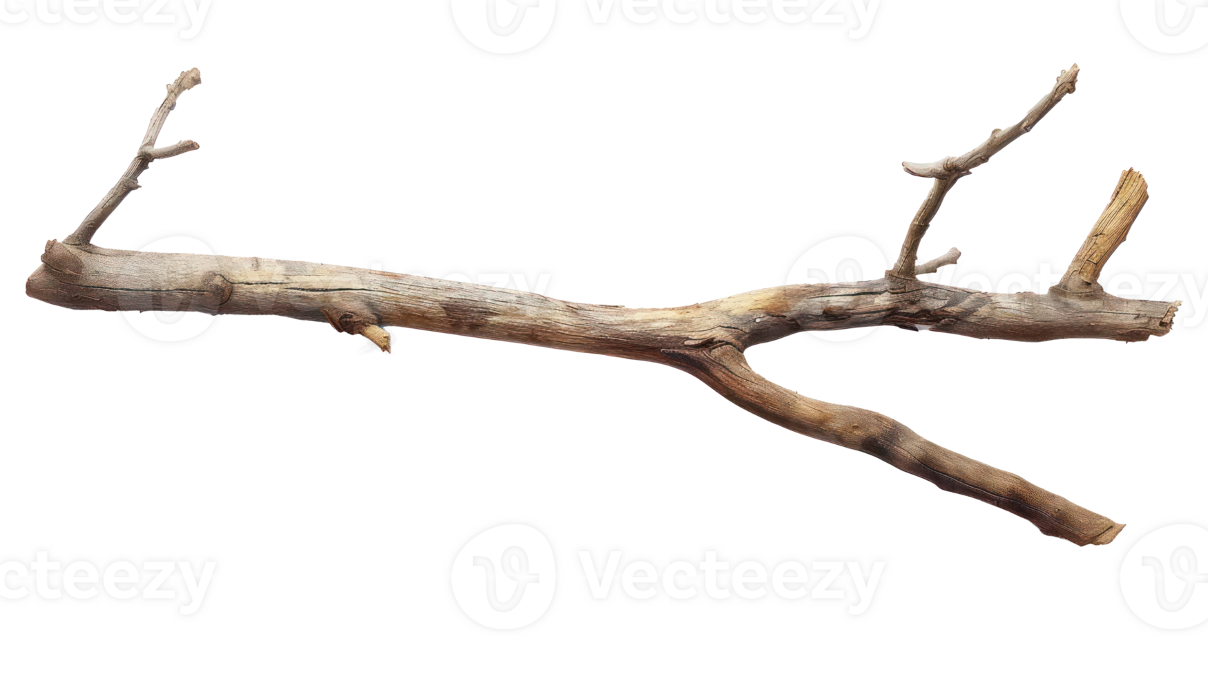 wooden stick branche isolate on transparency background png