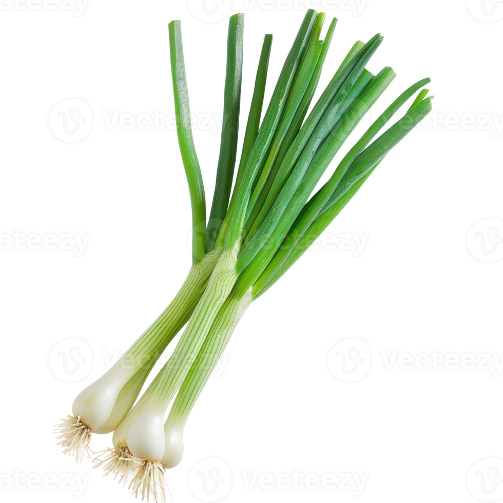 Green Onions, clipping path isolate on transparency background png