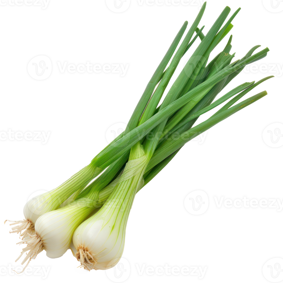 Piece of Green Onions isolate on transparency background png
