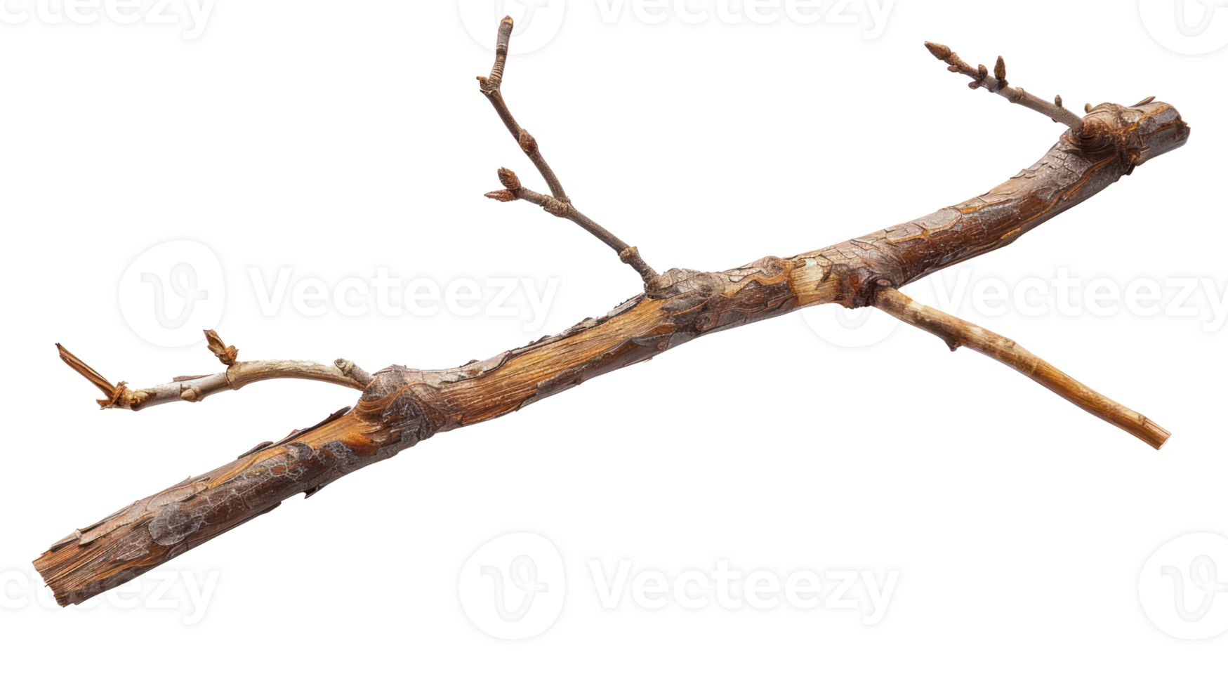 wooden stick branche isolate on transparency background png