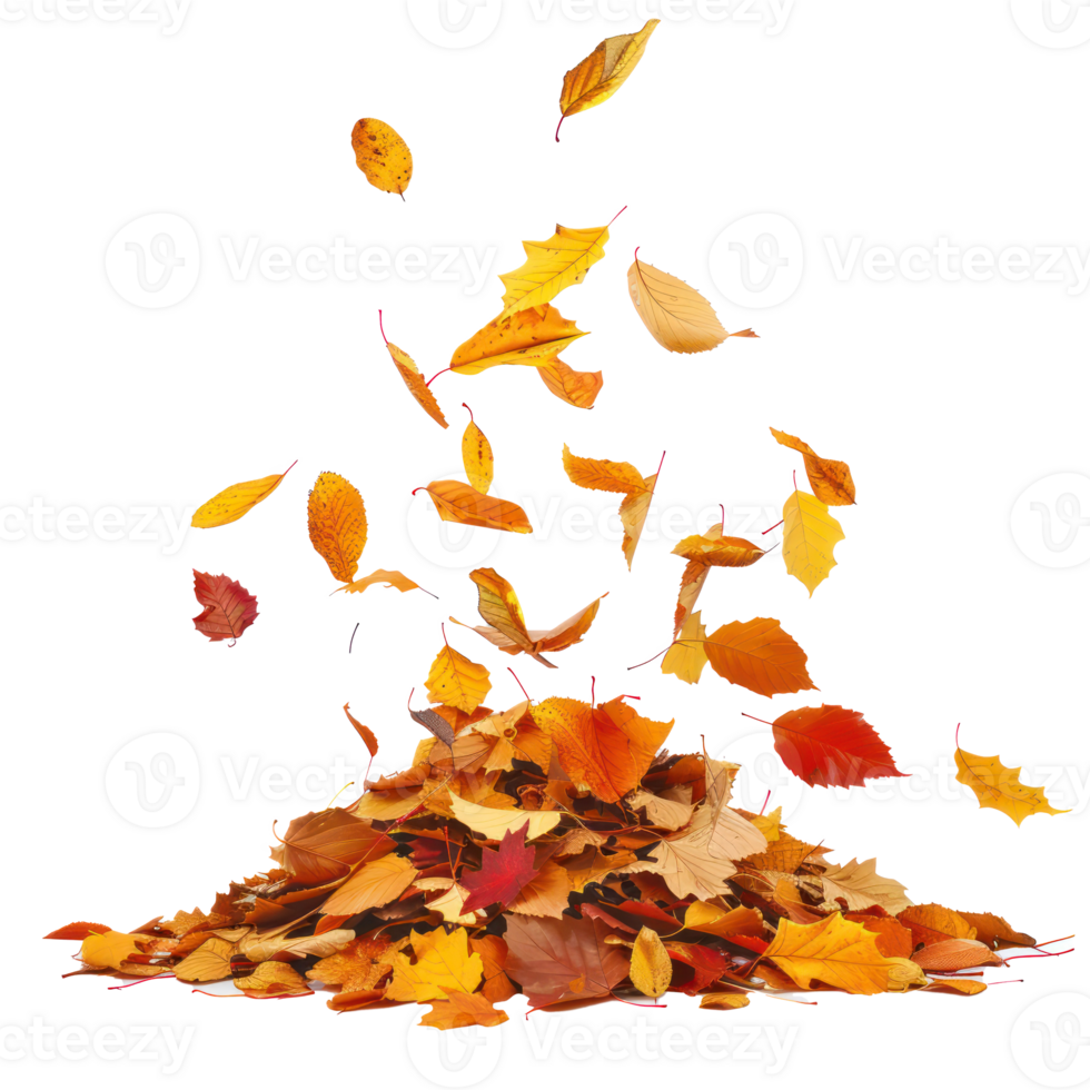 Autumn leaves fall on a pile front view isolate on transparency background png