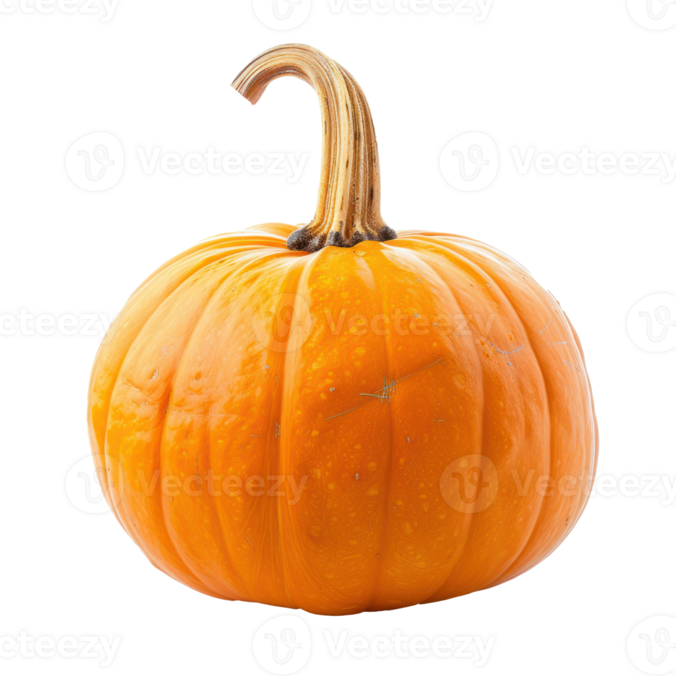 Orange pumpkin isolate on transparency background png
