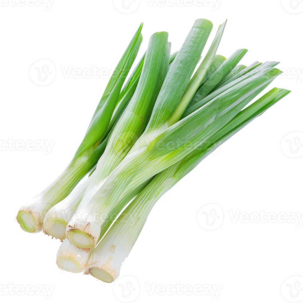 Falling Leeks isolate on transparency background png