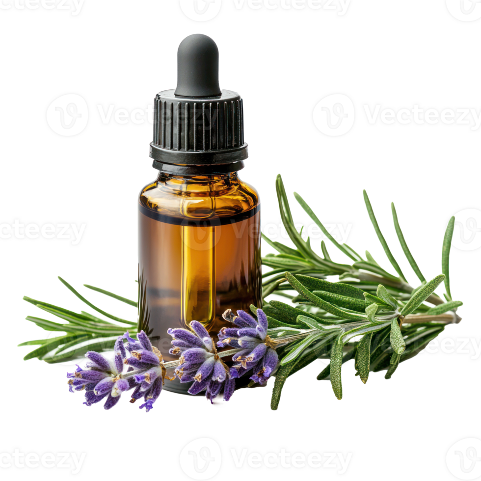 Essential Oil with Sprigs of Fresh Rosemary front view isolate on transparency background png