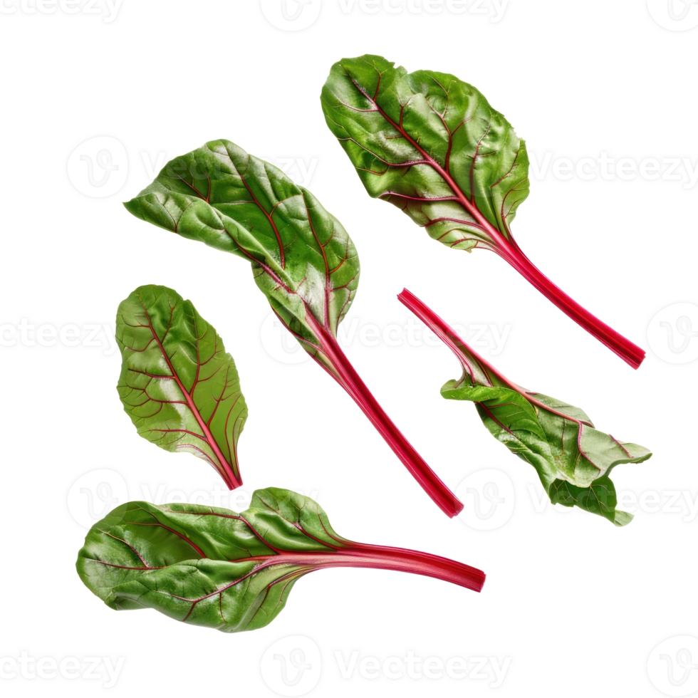 Falling Chard isolate on transparency background png