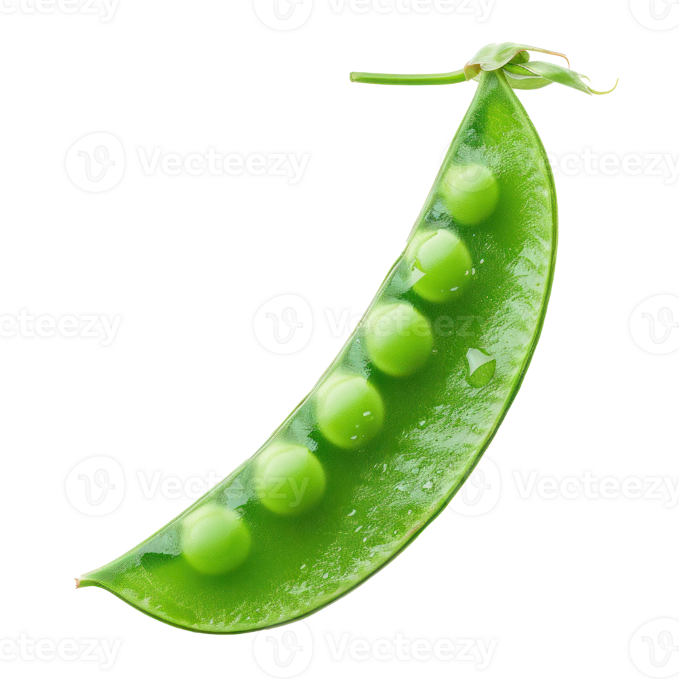 Piece of Snap Sugar Peas isolate on transparency background png
