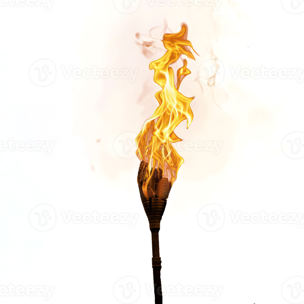 Burning torch on transparency background png