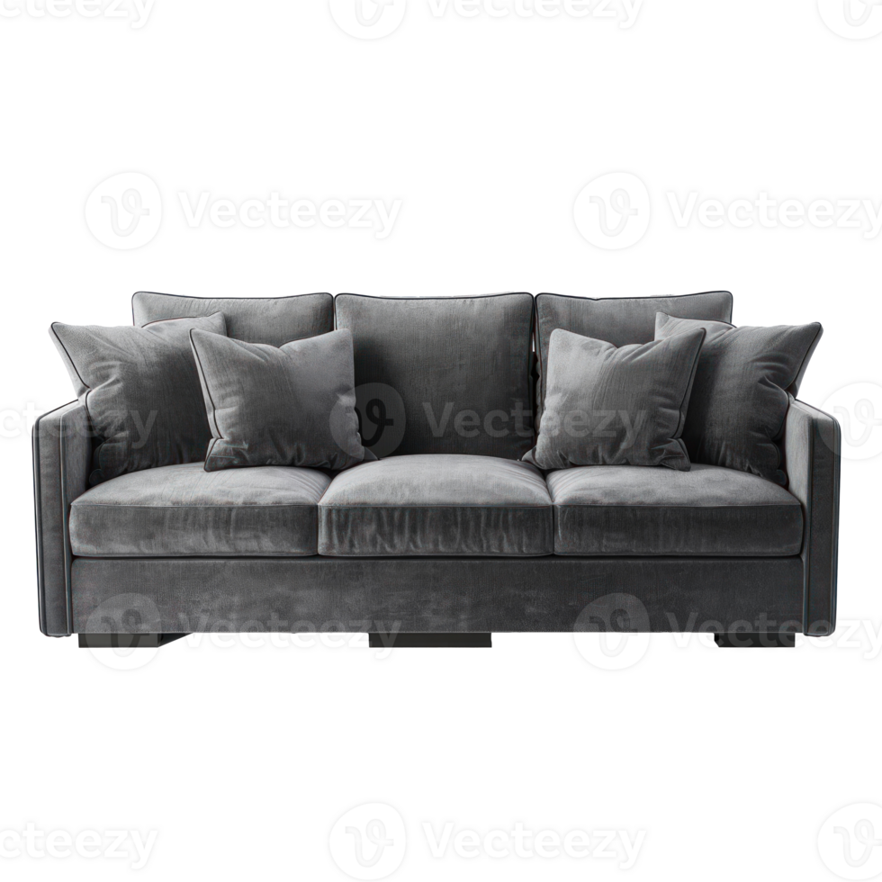 Track Arm Sofa front view full length isolate on transparency background png