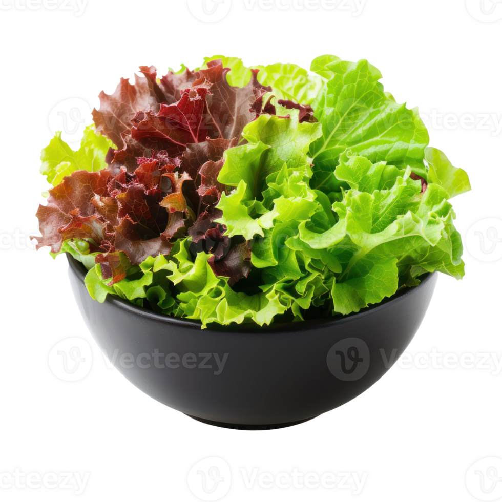 Green and Red Leaf Lettuce in a bowl front view isolate on transparency background png
