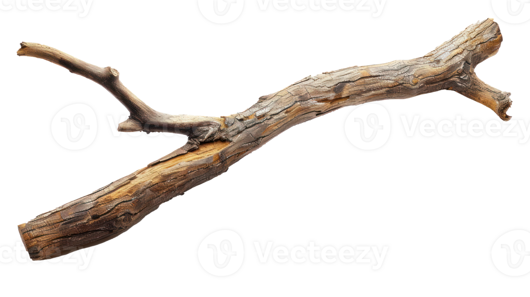wooden stick branche isolate on transparency background png