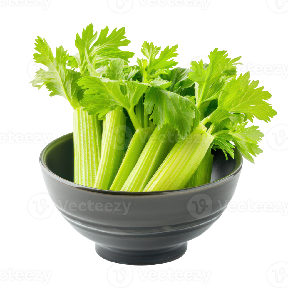 Celery in a bowl front view isolate on transparency background png