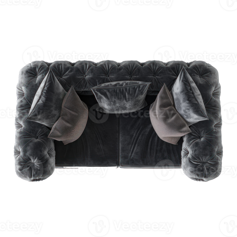 Tuxedo Sofa top view full length isolate on transparency background png