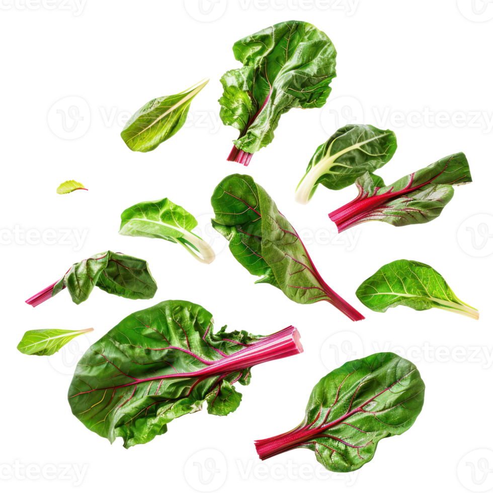 Falling Chard isolate on transparency background png