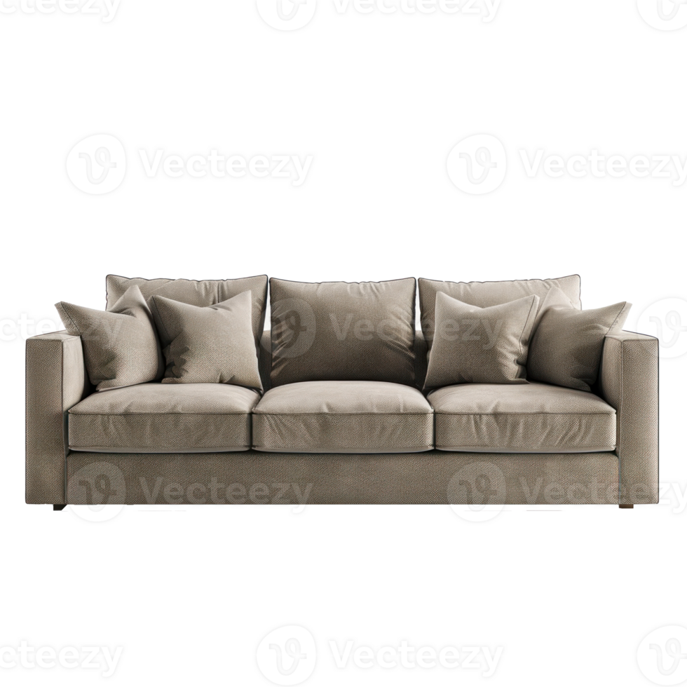 Track Arm Sofa front view full length isolate on transparency background png
