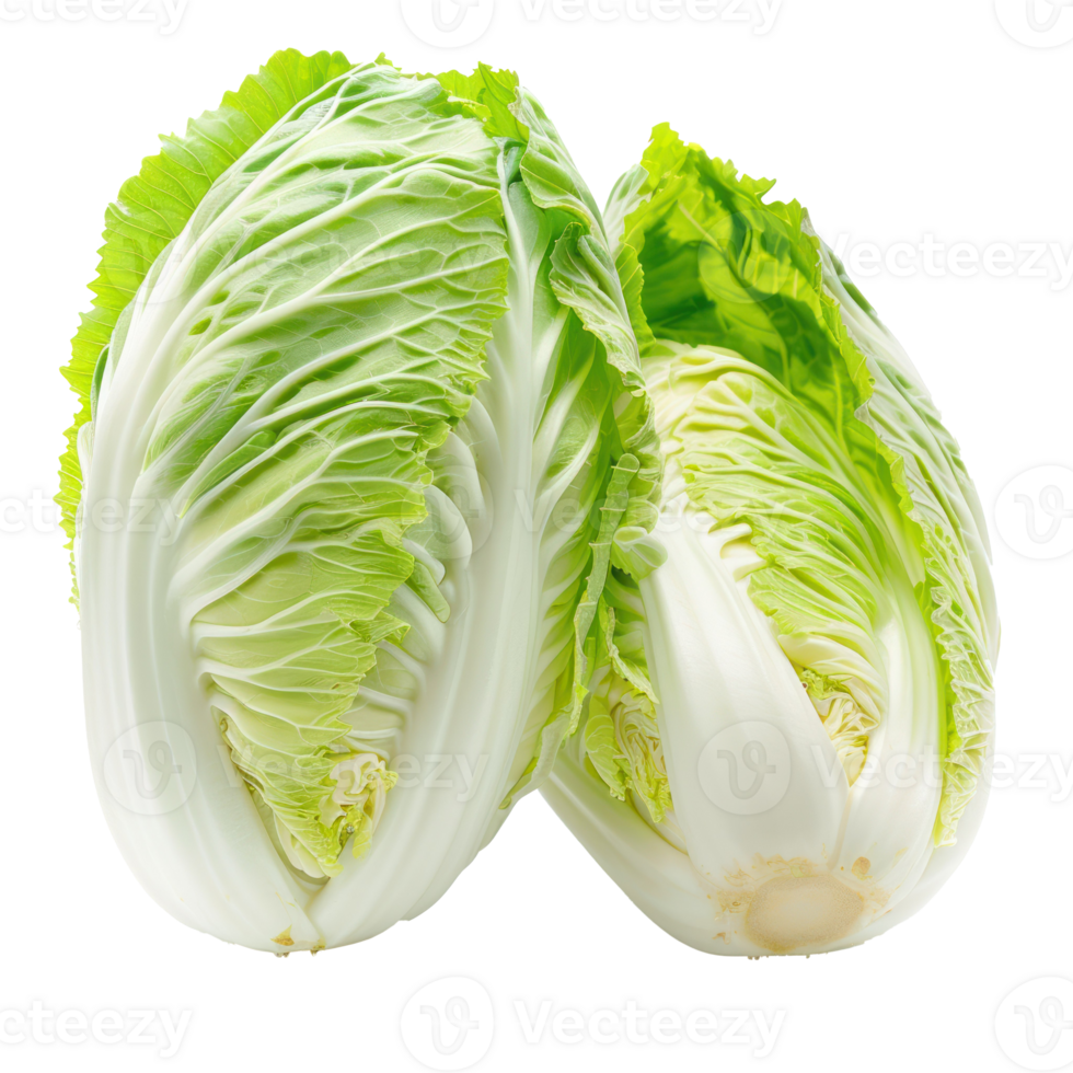 whole and half Chinese cabbage isolate on transparency background png