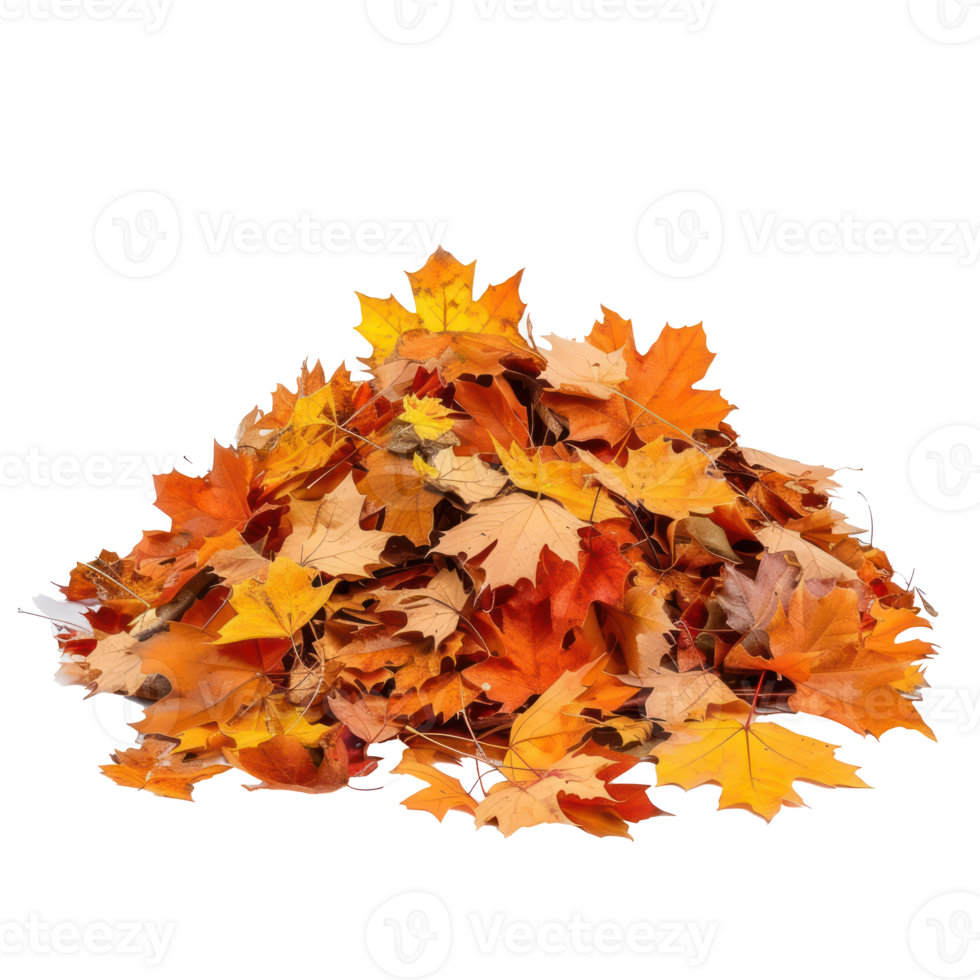 Autumn leaves fall on a pile front view isolate on transparency background png