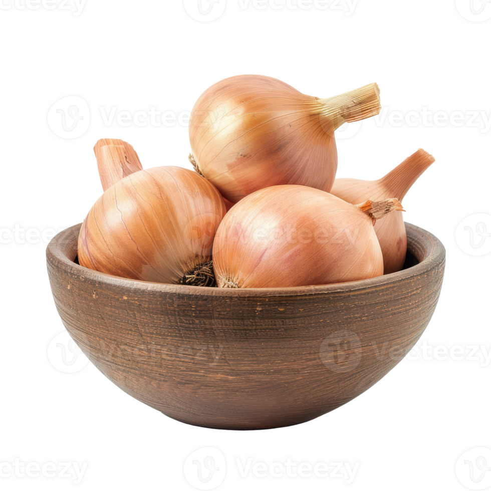 Onion in a bowl front view isolate on transparency background png