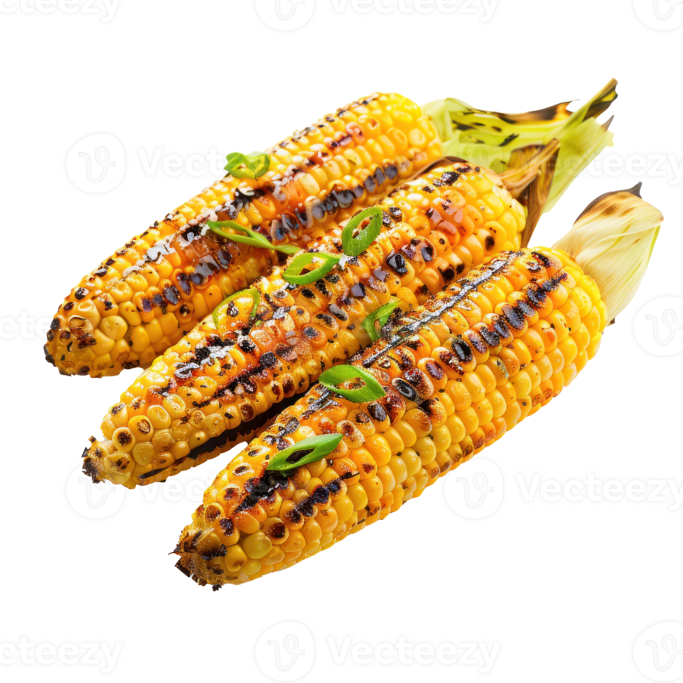 Grilled corn isolate on transparency background png