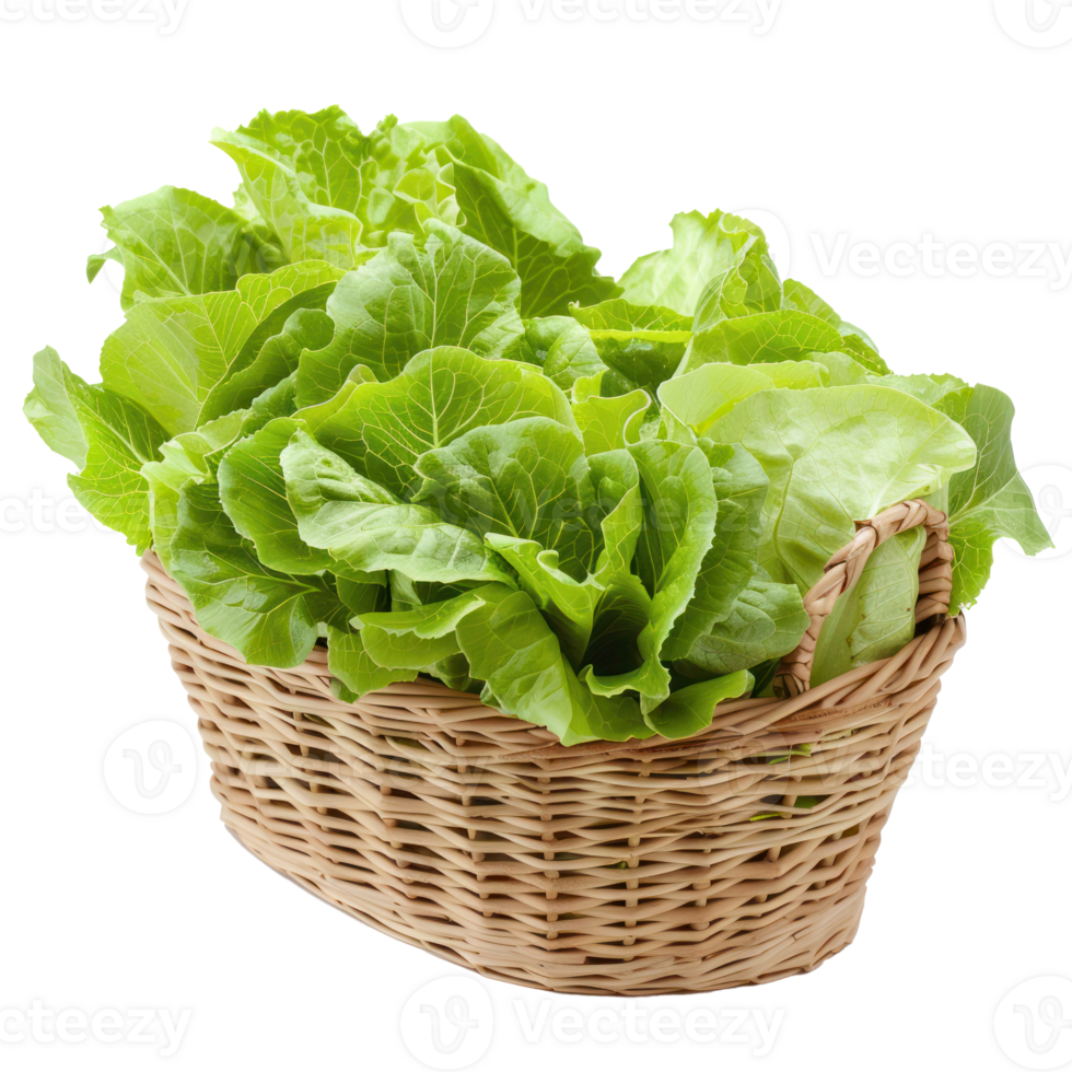 Butter Lettuce in basket isolate on transparency background png