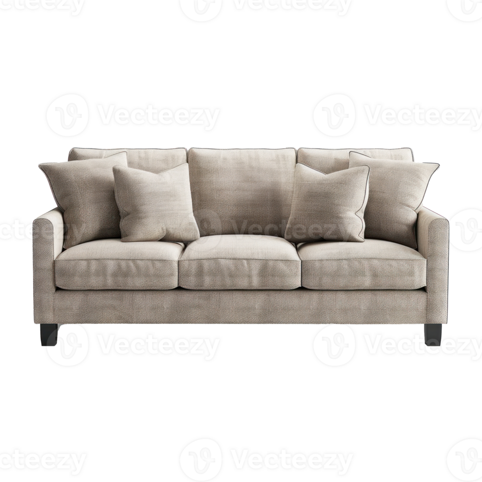 Track Arm Sofa side view full length isolate on transparency background png