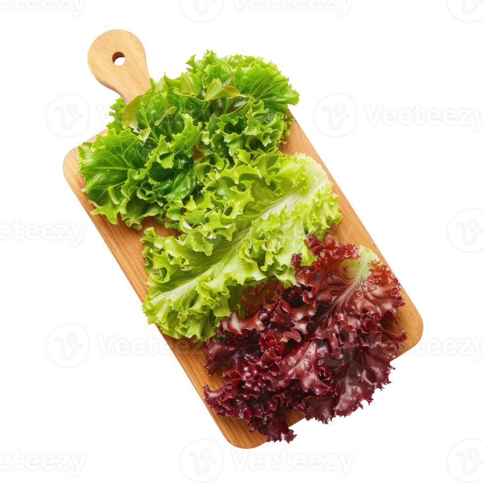 Sliced Green and Red Leaf Lettuce on chopping board isolate on transparency background png