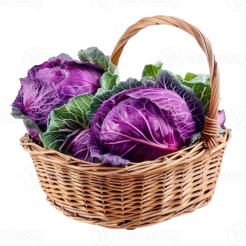 Purple Cabbage in basket isolate on transparency background png