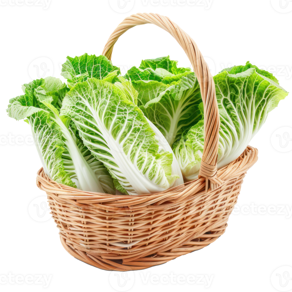 Chinese cabbage in basket isolate on transparency background png
