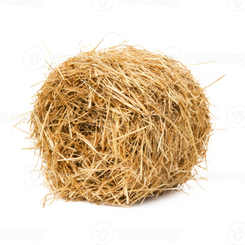 hay isolate on transparency background png