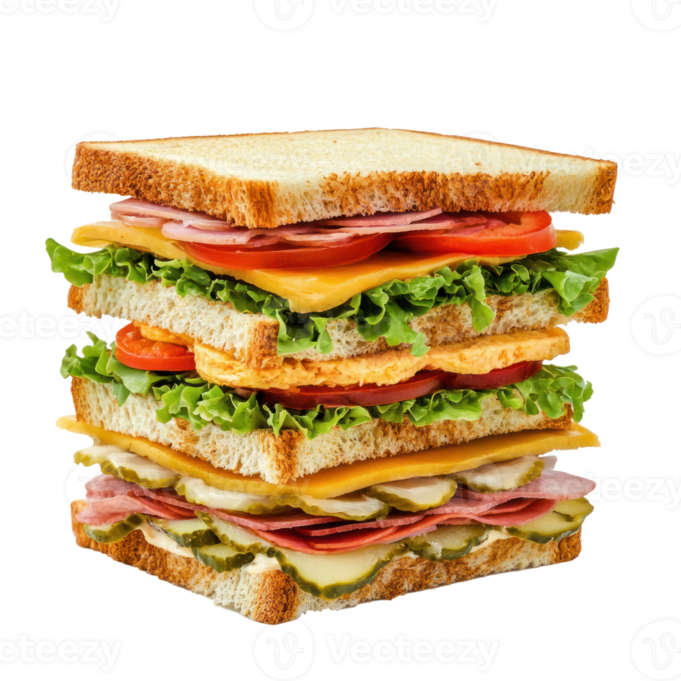 Tall sandwich isolate on transparency background png