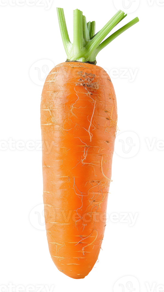 Carrot, clipping path isolate on transparency background png