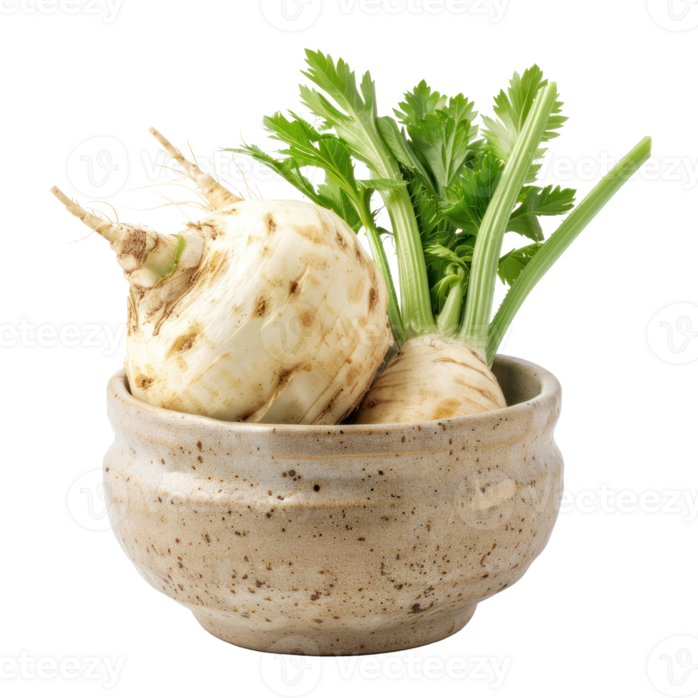 Cube of Celeriac in a bowl front view isolate on transparency background png
