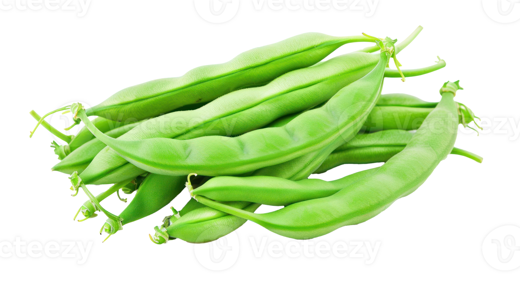 Green beans in a pod isolate on transparency background png