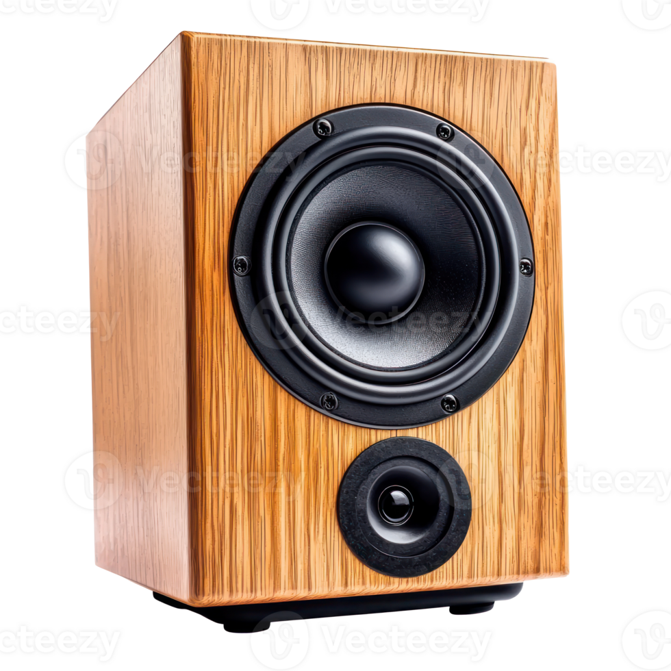 Audio Speaker isolate on transparency background png