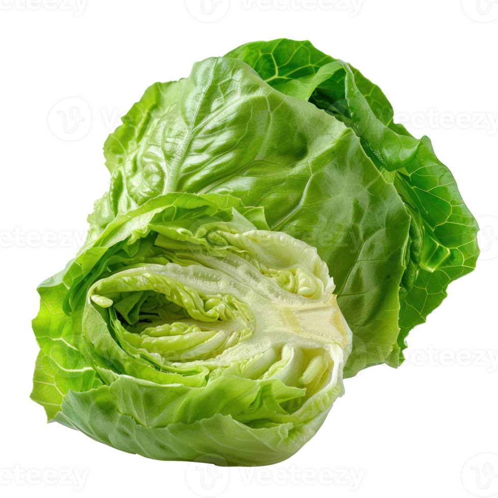 whole and half Butter Lettuce isolate on transparency background png
