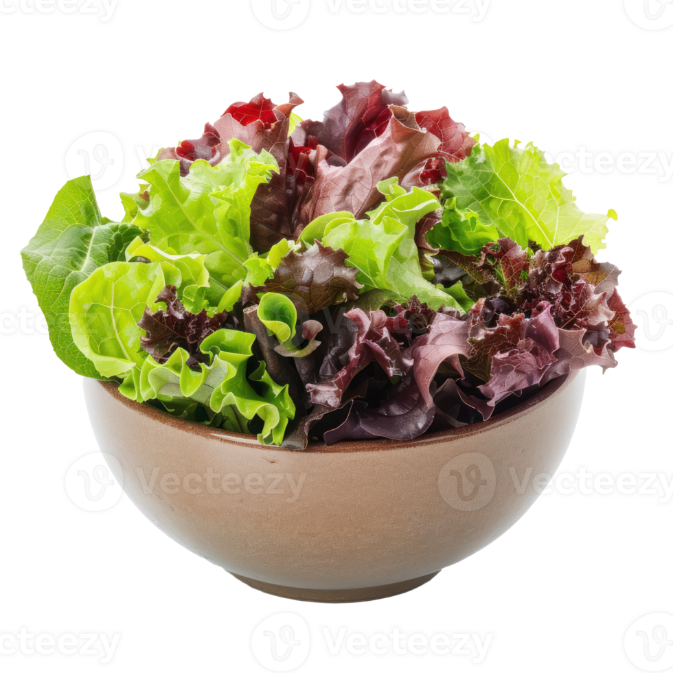Green and Red Leaf Lettuce in a bowl front view isolate on transparency background png