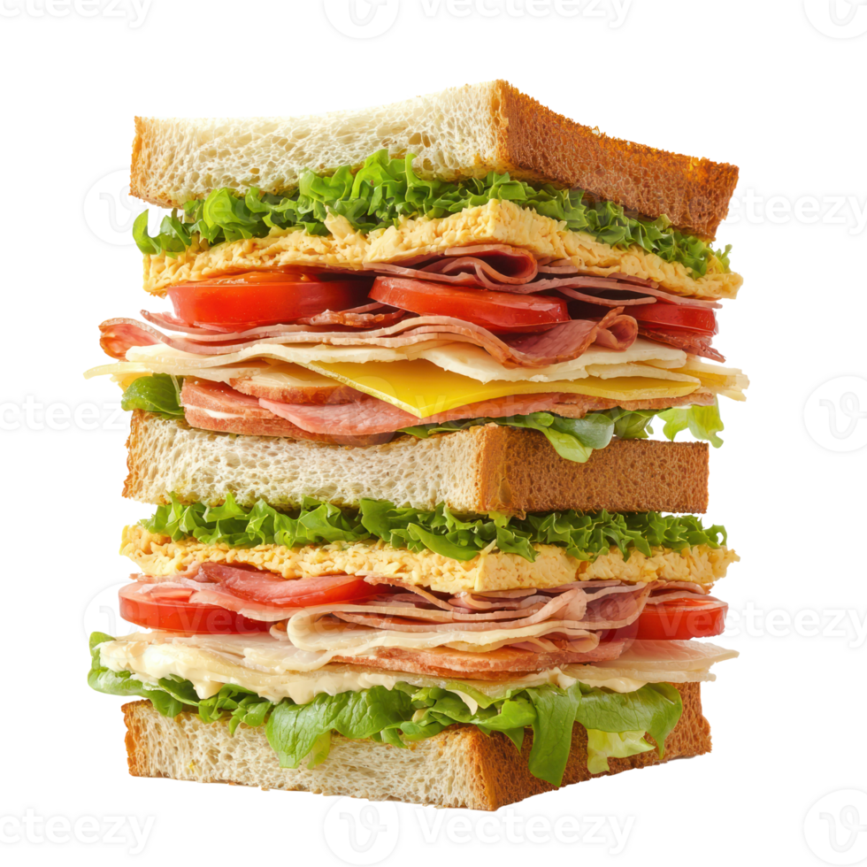 Tall sandwich isolate on transparency background png