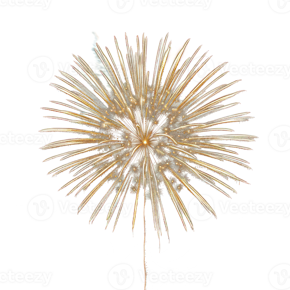 Firework isolate on transparency background png